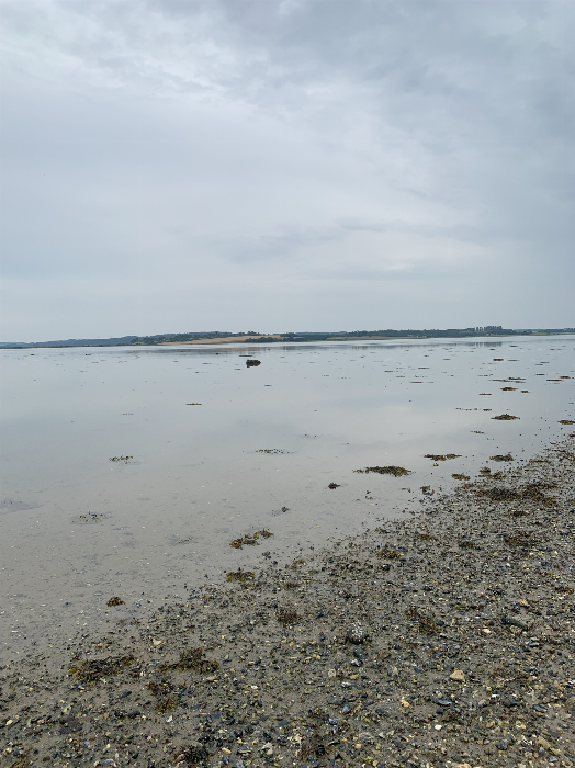 image/143/vadegrund_04-small.png