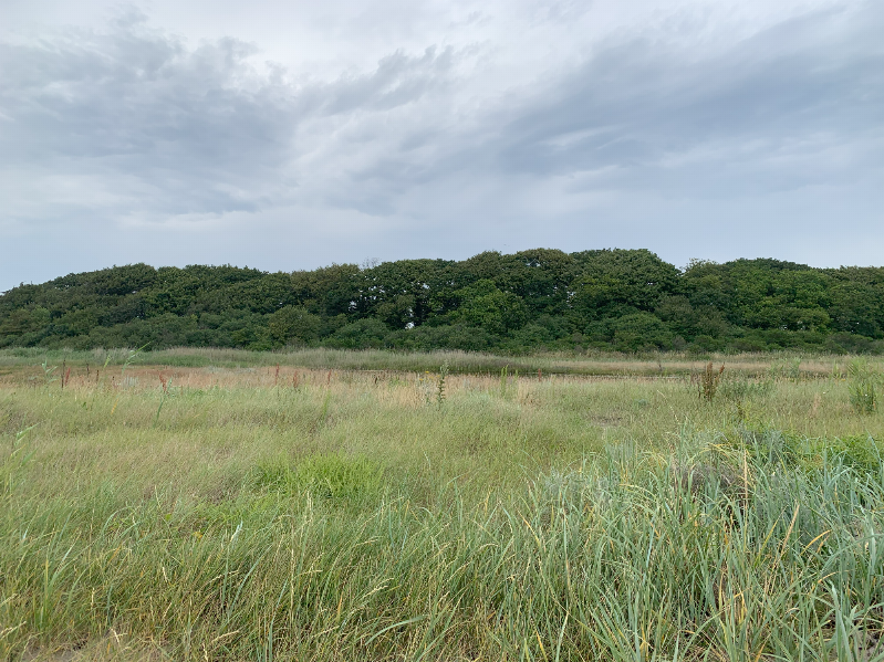 image/143/vadegrund_08-small.png