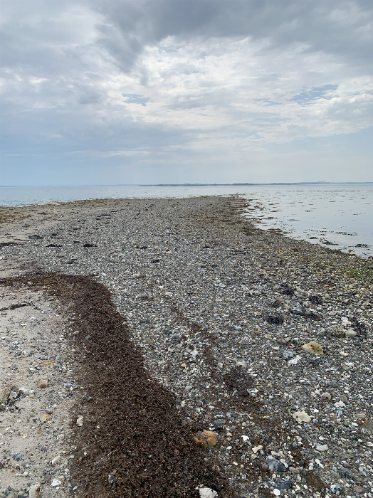 image/143/vadegrund_09-small.png